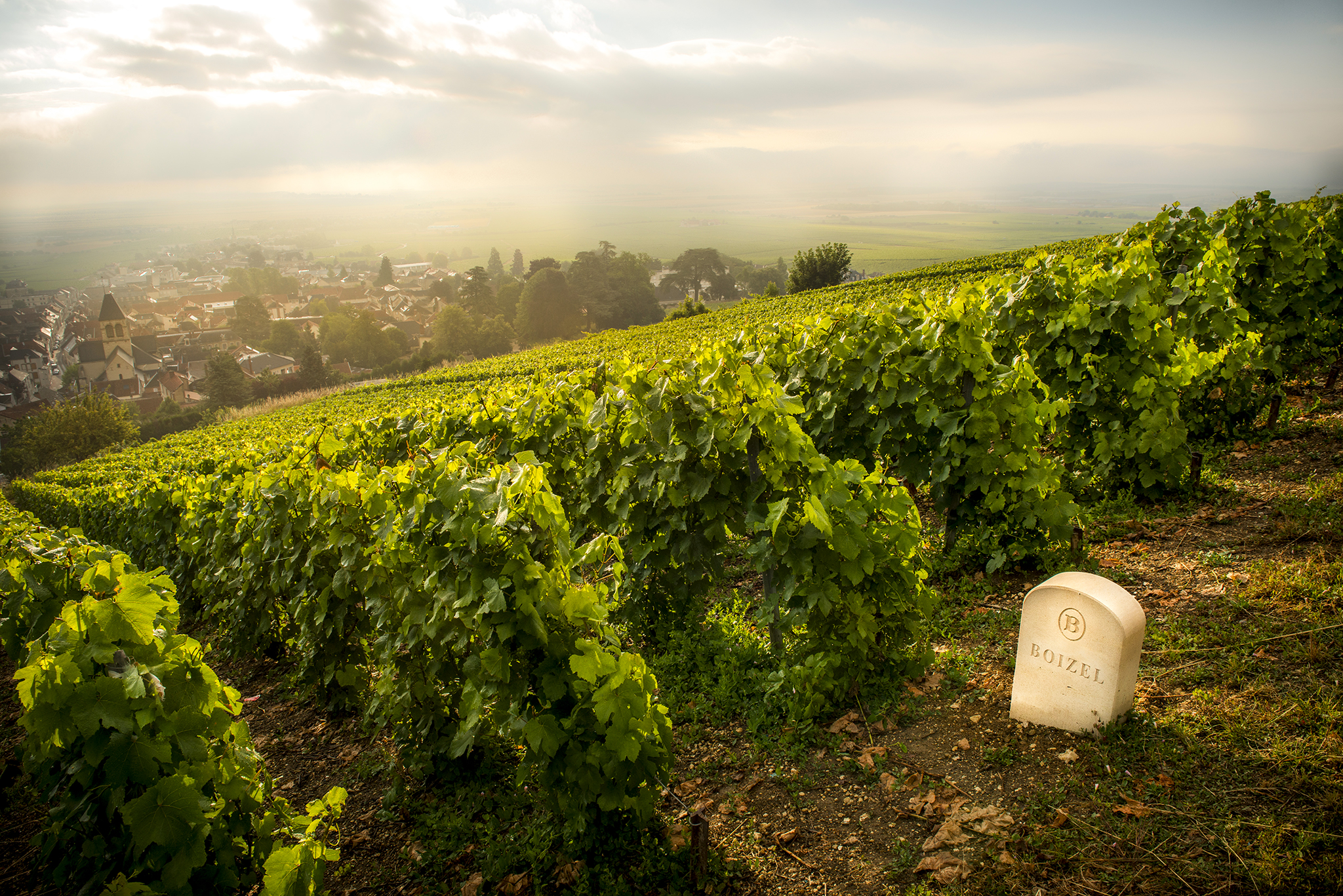 Home - Champagne Boizel - Epernay France